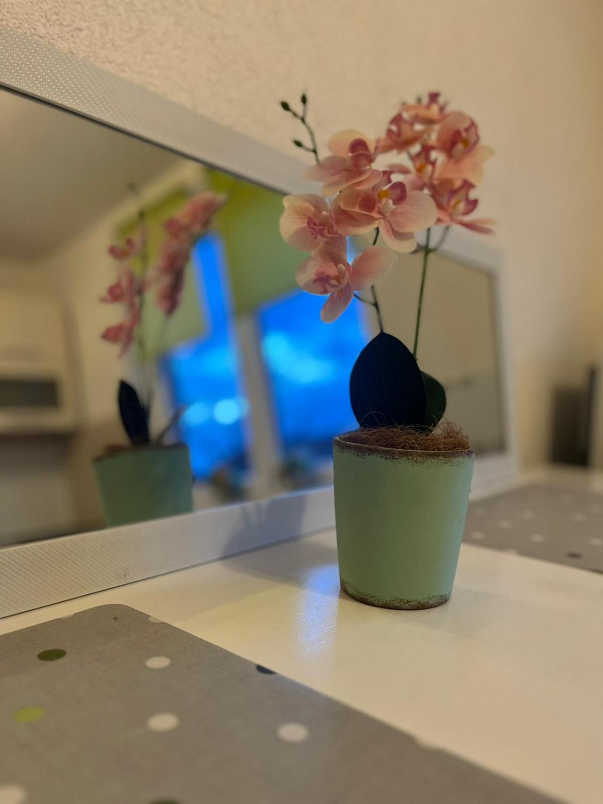 Lovely Apartment In Old Town 400M From City Center Sebilj سراييفو المظهر الخارجي الصورة