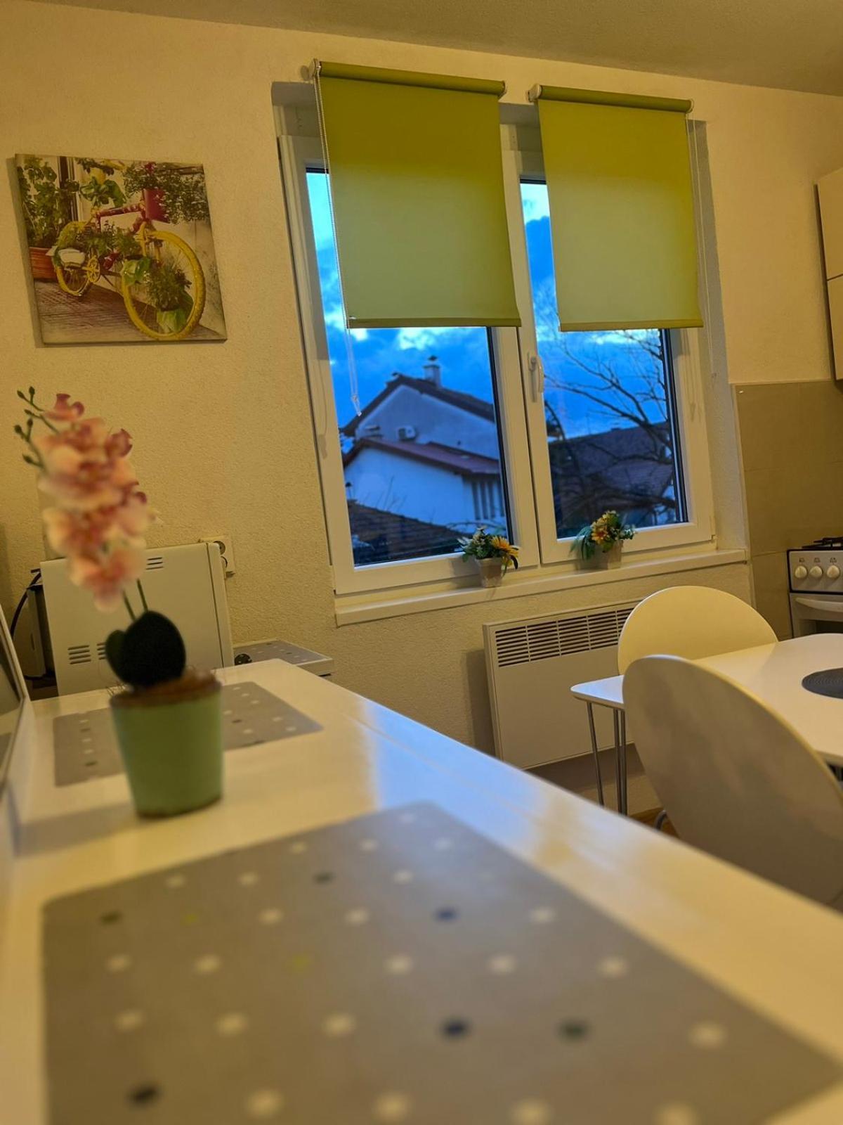 Lovely Apartment In Old Town 400M From City Center Sebilj سراييفو المظهر الخارجي الصورة