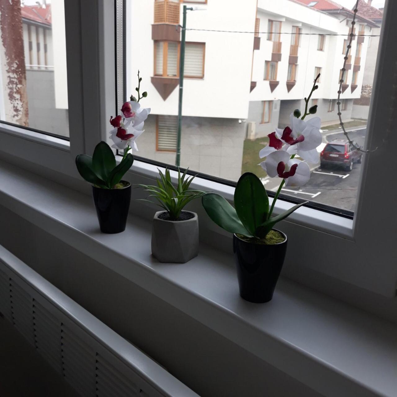 Lovely Apartment In Old Town 400M From City Center Sebilj سراييفو المظهر الخارجي الصورة